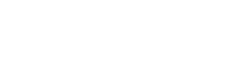 Toorts Bundle logo