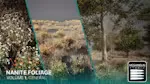 Nanite Foliage Vol1