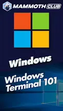 Windows Terminal 101: A Step-by-Step Guide for Beginners